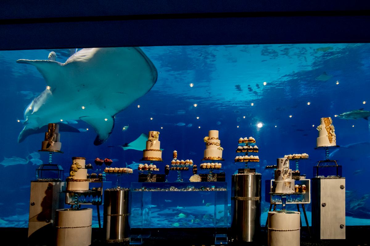 Slider Item 1 (copy)